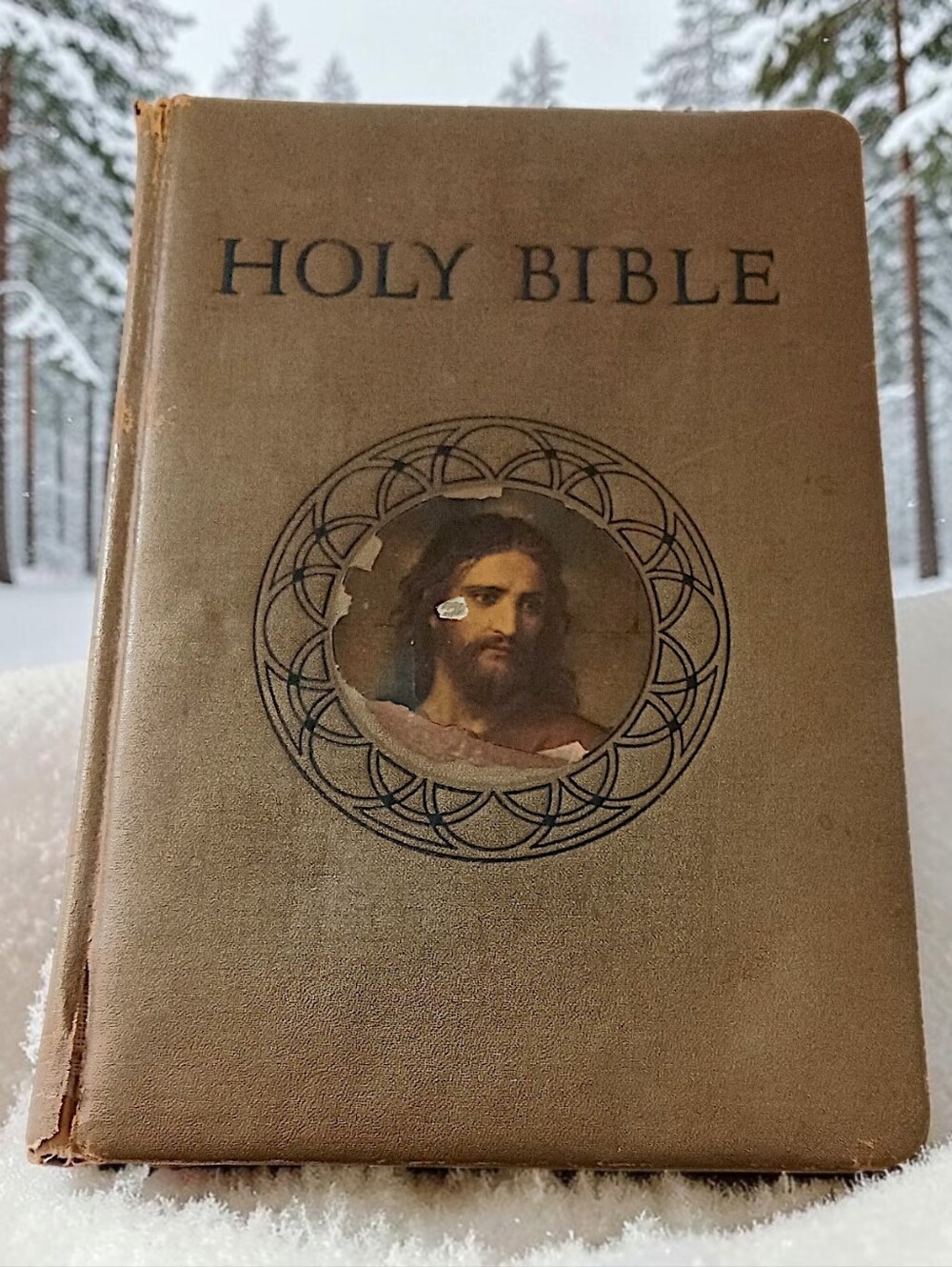 The Holy Bible Catholic Action Edition Illustrated 1953 Good Will Publishing HC